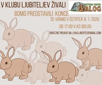 Klub ljubiteljev živali - spoznavamo kunce!