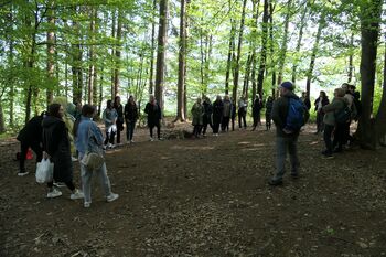 Vrtec Mavrica Trebnje kot zgled učenja v naravi