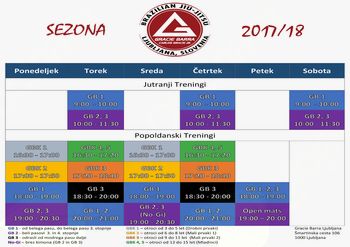 Brazilski Jiu-Jitsu v Ljubljani