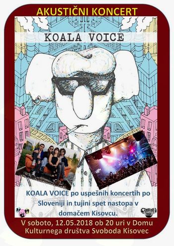 Akustični koncert kisovške Indie rock skupine KOALA VOICE