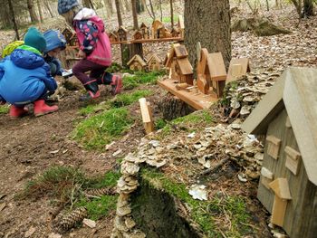 Novosti v Začaranem gozdu