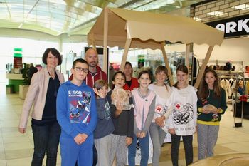 Dobrodelna drobtinica