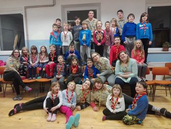 Zimovanje medvedkov in čebelic