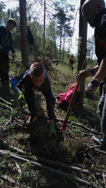 Šestošolci pogozdovali na Nanosu Šestošolci pogozdovali na Nanosu