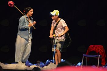 Zvezdica zaspanka Zvezdica zaspanka