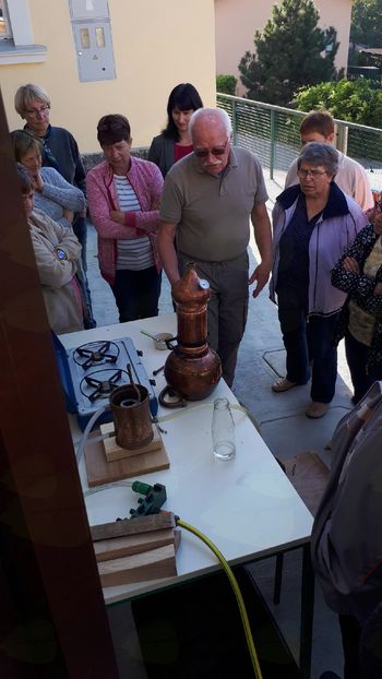 Nadaljevanje krožka 'Na vrtu'