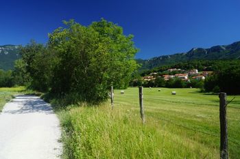 Ohranjajmo mejice in mokrišča Ohranjajmo mejice in mokrišča