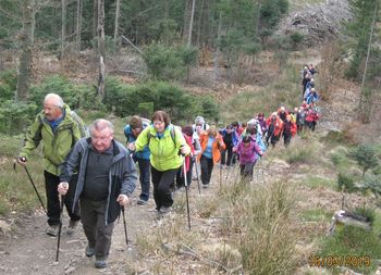 Gričevnato zaledje Ljubljane v družbi Društva MOST