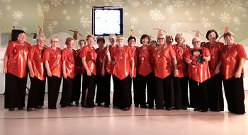 15 let plesne skupine Ajda