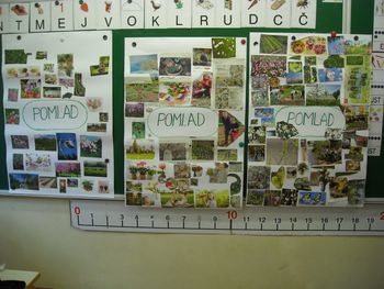 Utrip pomladi med prvošolci