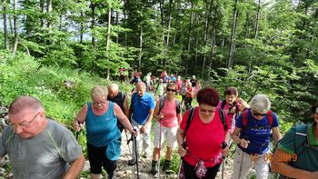 Zadnji pohod pred počitnicami