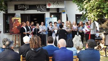 Umetniki za karitas so odrinili na globoko