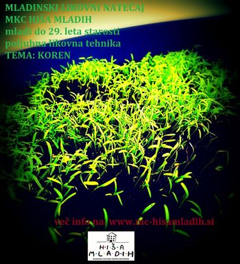 Mladinski likovni natečaj