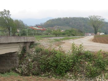 Ambrozija in japonski dresnik? Ne, hvala!