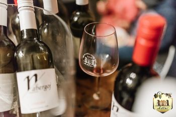 Druženje, martinovanje in grad v Ložah