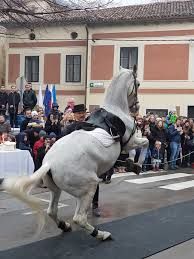 Blagoslov Konj na Štefanovo