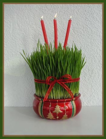 VABLJENI V DELAVNICO »Ko žito ozeleni« 