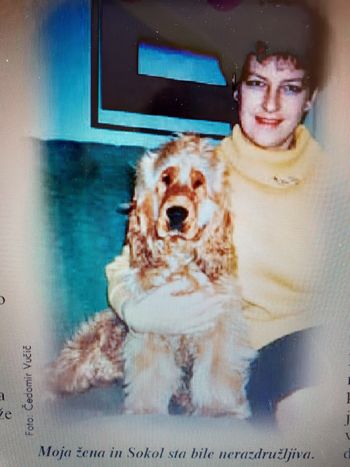 LOVSKA, LOVSKA JE TA II. (za krajši čas)