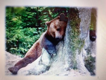 LOVSKA, LOVSKA JE TA IV. (za krajši čas)