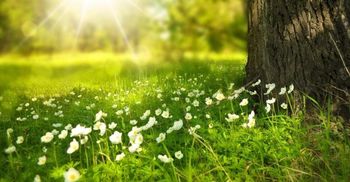 16.e-extempore Logatec 2020