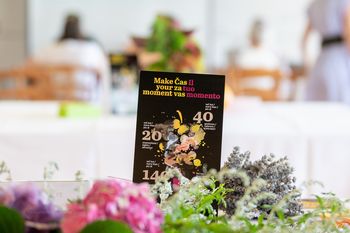 ČAS ZA VAS. BRDA. VIPAVSKA DOLINA. KRAS.