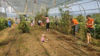 Vincencijev delovni tabor