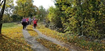 Jesenski pohod na Trstelj - ODPOVEDANO!