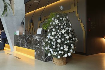 Povabilo k nabavi živih, zelenih drevesc