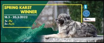 Spring karst winner Cac/ Cacib dog show