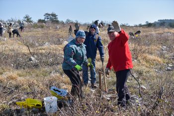 DREVO ZA CERJE in 2. vseslovenska akcija sajenja