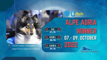 Alpe Adria winner Cac/Cacib dog show 