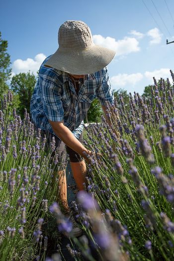 Spoznavanje kraških zelišč in njihove uporabe na Zeliščni kmetiji Rogelja