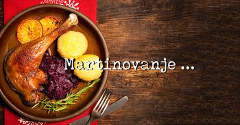 MARTINOVANJE ZA DRUŠTVO UPOKOJENCEV