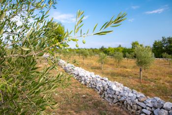 DELAVNICO POSTAVITVE SUHEGA ZIDU KOT PROTIPOŽARNE PREPREKE