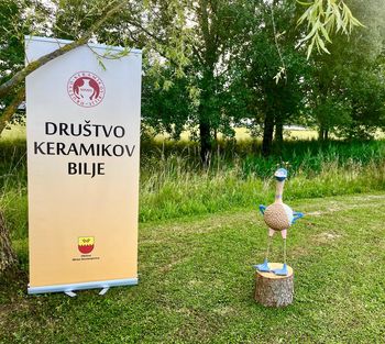 PTIČI DRUGAČNE SORTE
