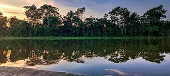 AMAZONIJA EKVADORJA - DIVJA, BARVITA, NEPOZABNA!  II.DEL  POTOPISNEGA PREDAVANJA SUZANE ČERNE