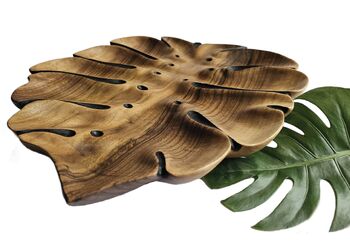 Čar lesa razstava Čar lesa razstava