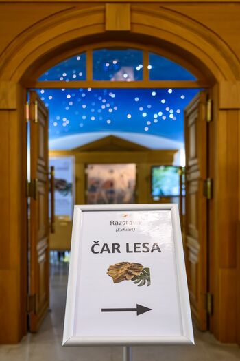 RAZSTAVA ČAR LESA 2025 DRUGIČ V POMNIKU MIRU NA CERJU