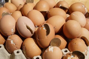 46. TRADICIONALNO CILJANJE PIRHOV