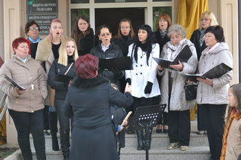 NOVA PRIDOBITEV KS VELIKI GABER 