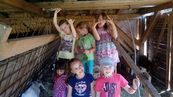 Počitniški tabor za otroke v medgeneracijskem centru Hiša Sadeži družbe Logatec