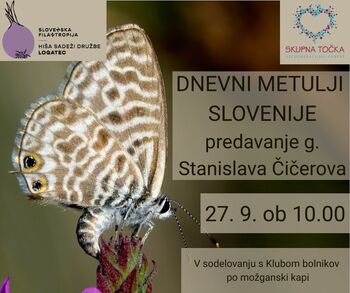 Dnevni metulji Slovenije - predavanje g. Stanislava Čičerova