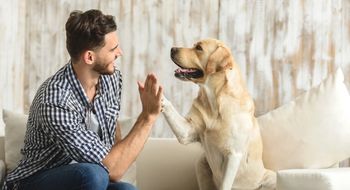 Vpliv živali na razvoj osebnosti