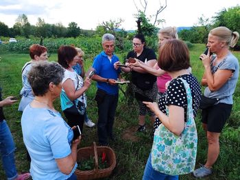 Prikaz izdelave namazov z divjimi zelišči s Stipetom Hečimovićem in izdelavo veganskega tatarskega bifteka ter humusa s čičeriko z Vanjo Simčič                 