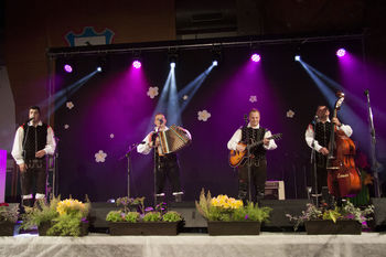 Dobrodelni koncert za Dejana