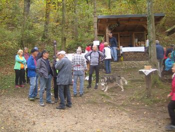 KOSTANJEV PIKNIK UPOKOJENCEV PRI MLINČKIH