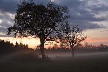 OD SMEJA DO MARADONE