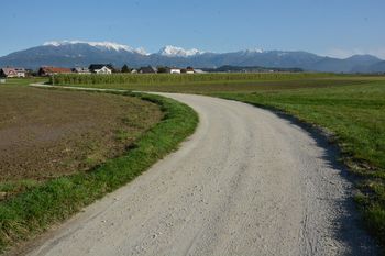 KOGA BO PIČILA TA KAČA? 