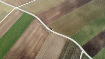 Kako pripraviti dober članek?