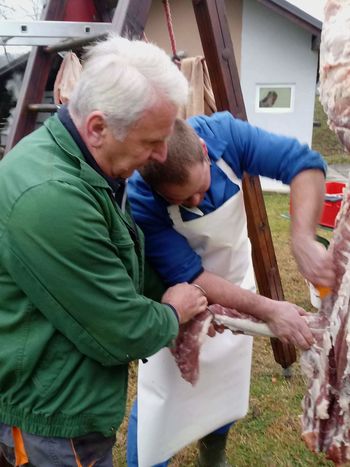 Prve Staropostajske vaške koline Prve Staropostajske vaške koline